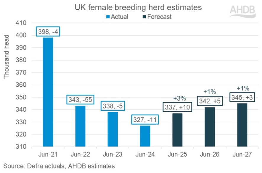 Bar chart showing annual change in UK female breeding pig herd numbers